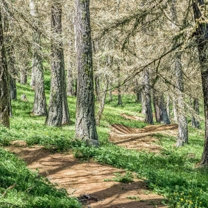 Enduro Valberg