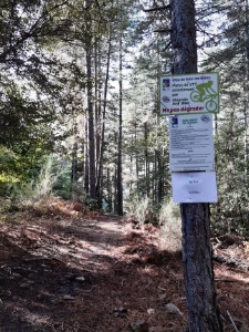 Enduro Bikepark le Bois Vert