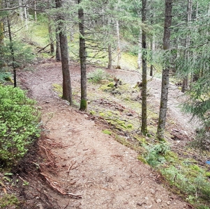 Enduro Bike' Arc trail center