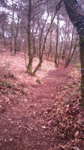 Enduro Crazy Wood VTT Bignan