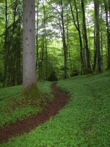 Enduro Bike Park de Longchaumois