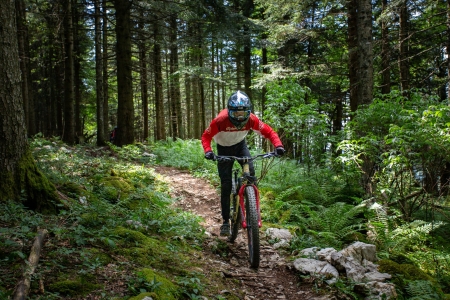 DH-Freeride Metabief
