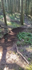 Enduro Espace VTT Enduro de la Forêt de Montaud
