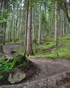 DH-Freeride Bernex