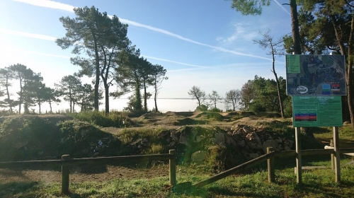 Espace ludique Crazy Wood VTT Bignan
