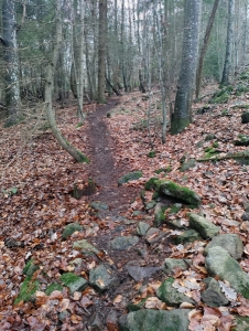 Enduro Pollionnay