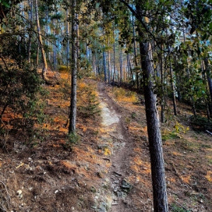 Enduro Bikepark le Bois Vert