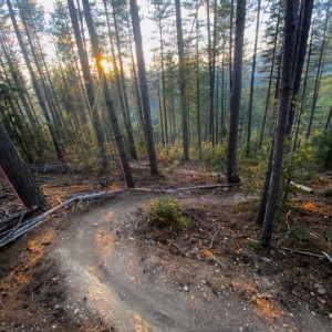 Enduro Bikepark le Bois Vert