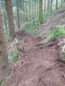 Enduro Espace VTT Enduro de la Forêt de Montaud