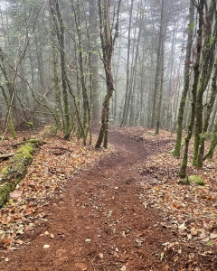 Enduro Vosges Nature N VTT