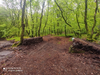 Bikepark Les Bosses de Brouains