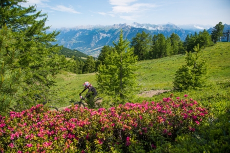 Bikepark Risoul