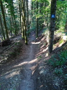 Enduro Espace VTT Enduro de la Forêt de Montaud