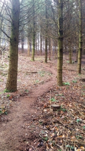 Enduro Pollionnay