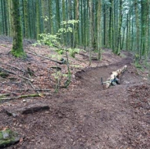 Enduro Espace VTT Enduro de la Forêt de Montaud