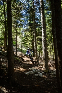 DH-Freeride Bikepark Villard de Lans 