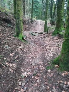 Enduro Espace VTT Enduro de la Forêt de Montaud