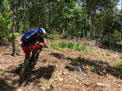 Enduro Montagne de Lure circuit n°12