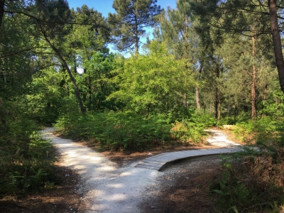 Espace ludique Bike park Forêt du Bourgailh