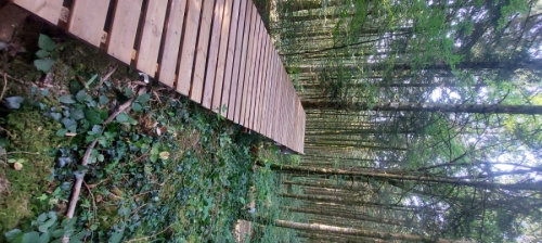 Bikepark  Bikepark la sapinette 