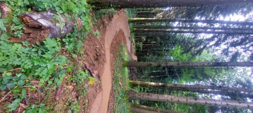 Bikepark  Bikepark la sapinette 
