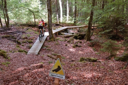 Enduro Bike Park de Longchaumois