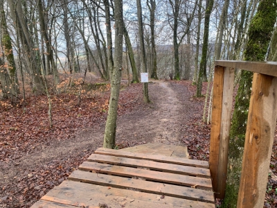 Bikepark FAULX WAGON DH