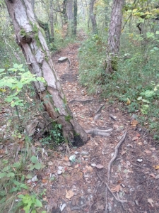 Enduro Bois du Mollard Corenc