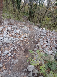 Enduro Bois du Mollard Corenc