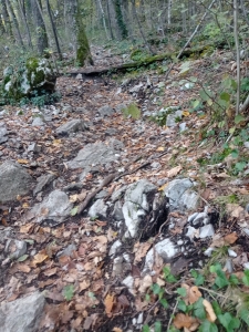 Enduro Bois du Mollard Corenc