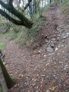 Enduro Bois du Mollard Corenc