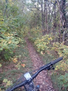 Enduro Bois du Mollard Corenc