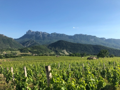 Enduro Saillans Copyright Office de Tourisme Coeur de Drôme - Pays de Crest et de Saillans