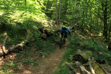 Enduro Espace VTT Enduro de la Forêt de Montaud