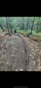 Bikepark Puy du tour 