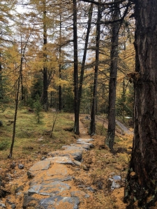 Espace ludique Espace VTT de Chantelouve