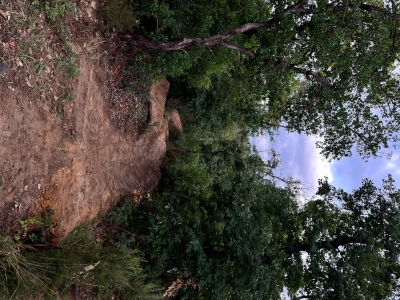 Bikepark Salavas les flow 