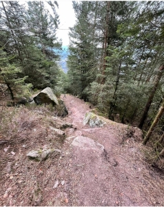 Bikepark Kemberg Saint Dié des Vosges