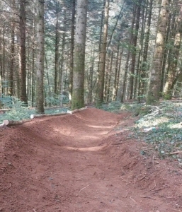 Bikepark  Bikepark la sapinette 