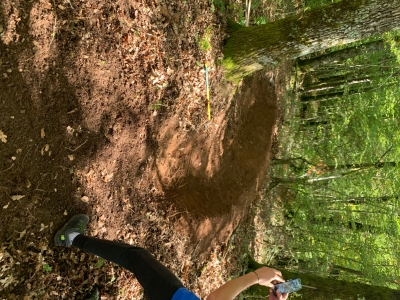 Bikepark Puy du tour 