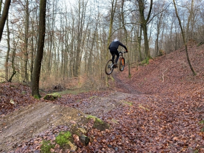 Bikepark FAULX WAGON DH