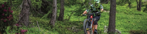 DH-Freeride Isola 2000 Bikepark