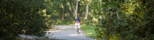 Espace ludique Bike park Forêt du Bourgailh