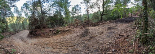 DH-Freeride La Grand Combe