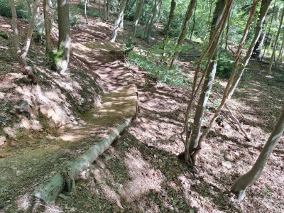 Enduro MTB Trails Spa 