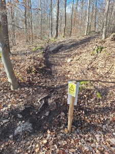 Enduro MTB Trails Spa 
