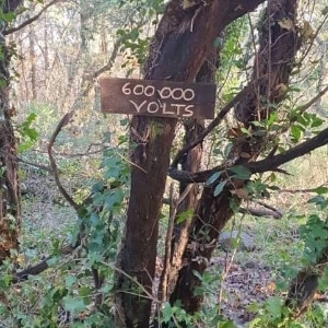 Enduro Bagnols-en-forêt Shape N Ride