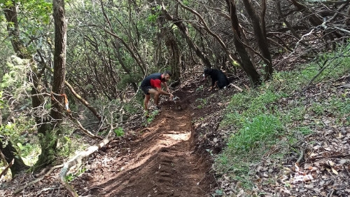 Enduro Bagnols-en-forêt Shape N Ride