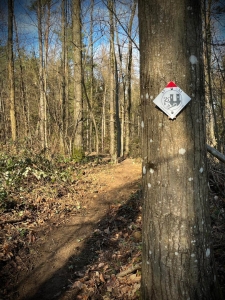 Enduro Enduro Vtt de la Scherhol - EVS