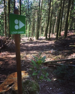 Enduro Les Monts de Blonds Vaulry